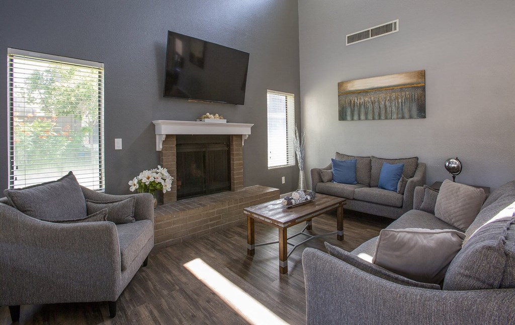 a living room with couches and a tv and a fireplace