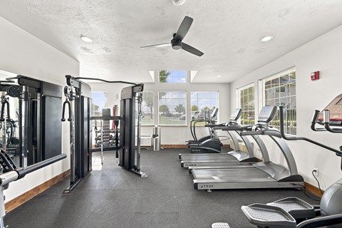 A gym with treadmills, weights, and a fan.