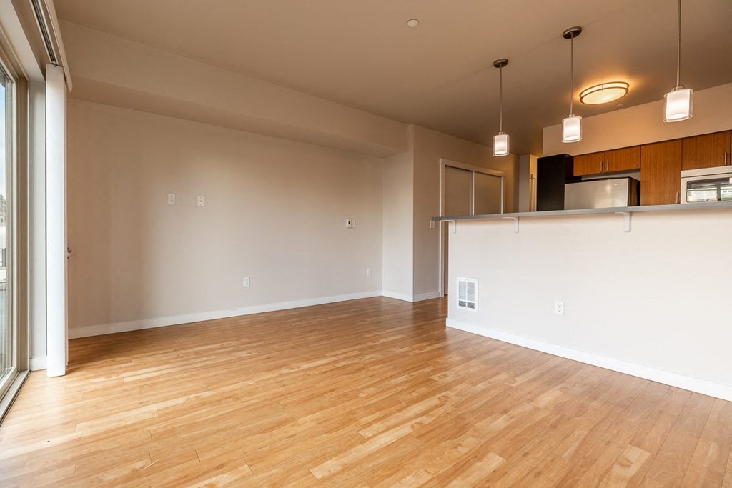 large bright layouts