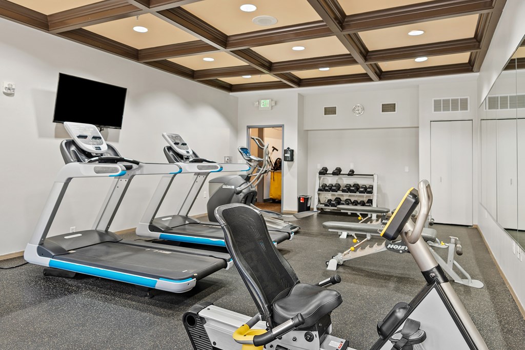 A gym with treadmills, weights, and exercise equipment.