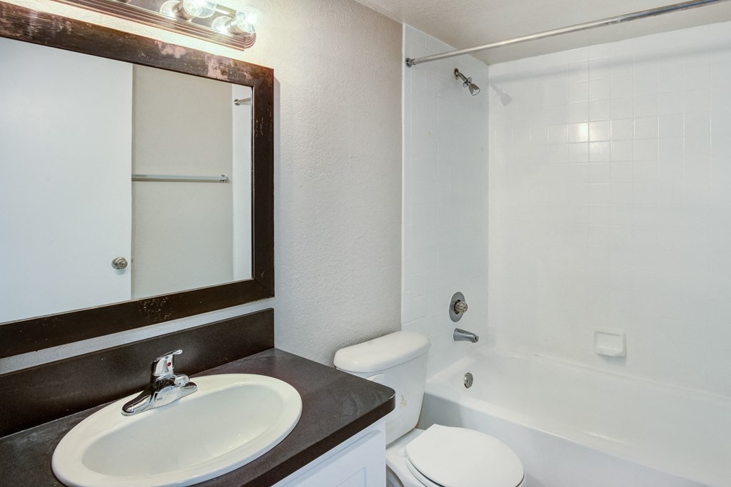 a bathroom with a sink and a toilet and a shower