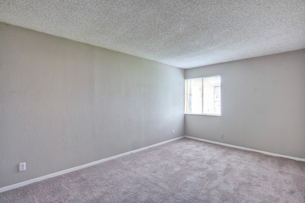 an empty room with carpet and a window