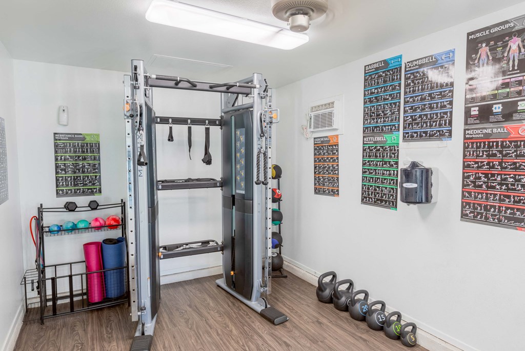 the gym with weights and a punching bag on the wall
