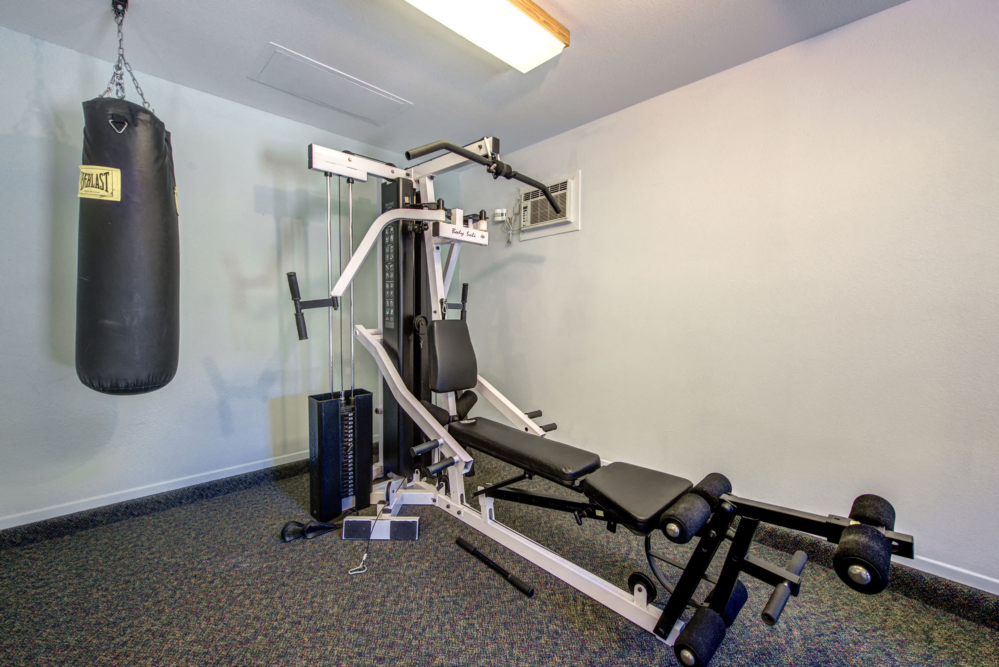 Fitness center- weighted machines, punching bag