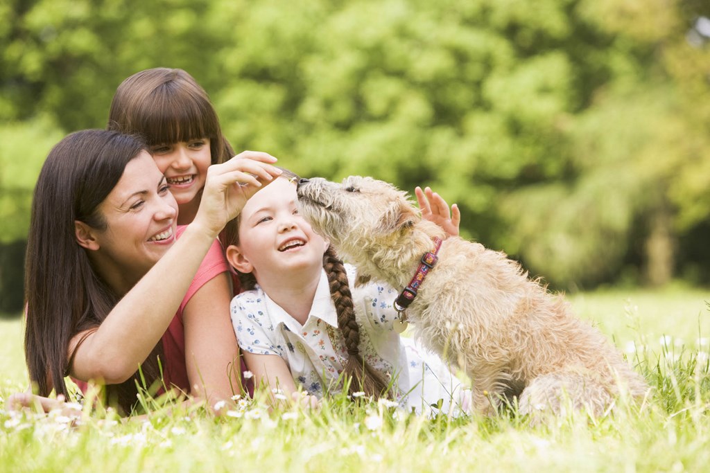 a woman and two children playing with a dog