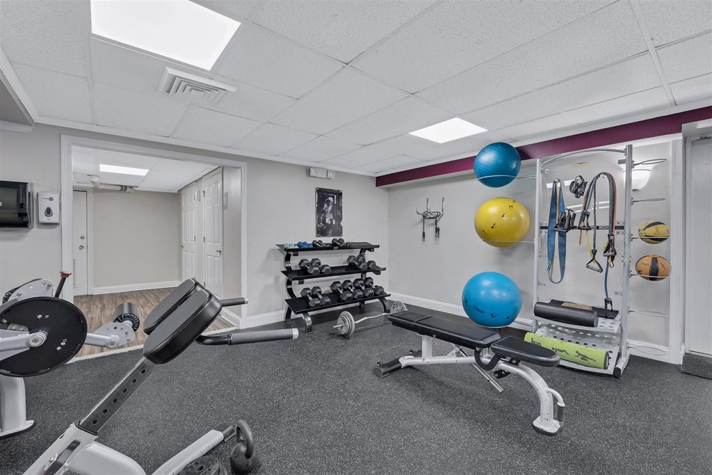 the gym is equipped with a variety of weights and cardio equipment
