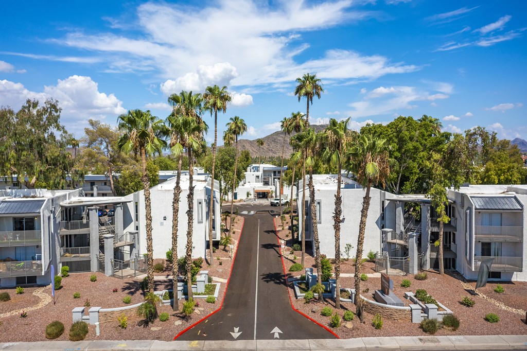Three-Bedroom Apartments in North Mountain Village, Phoenix, AZ - Ardella on 28th - Property Exterior with Private Balconies, Palm Trees, Street View, and Mountains in the Background