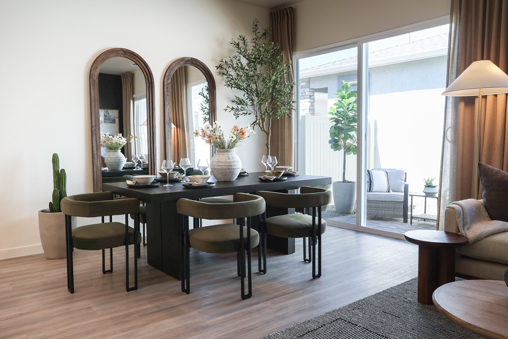 A dining table with chairs and a cactus plant in a pot.