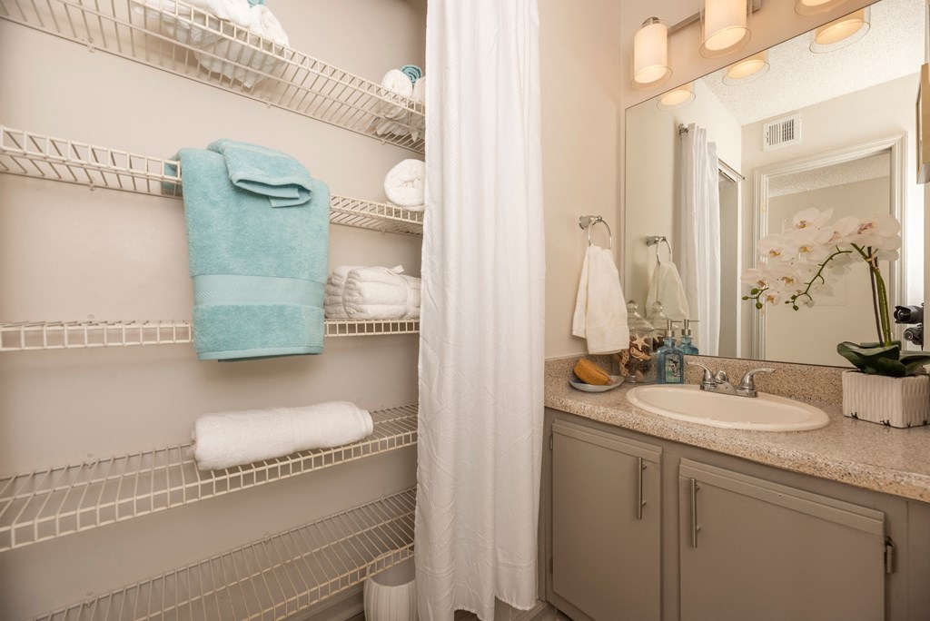 a bathroom with a sink and a mirror and a shower
