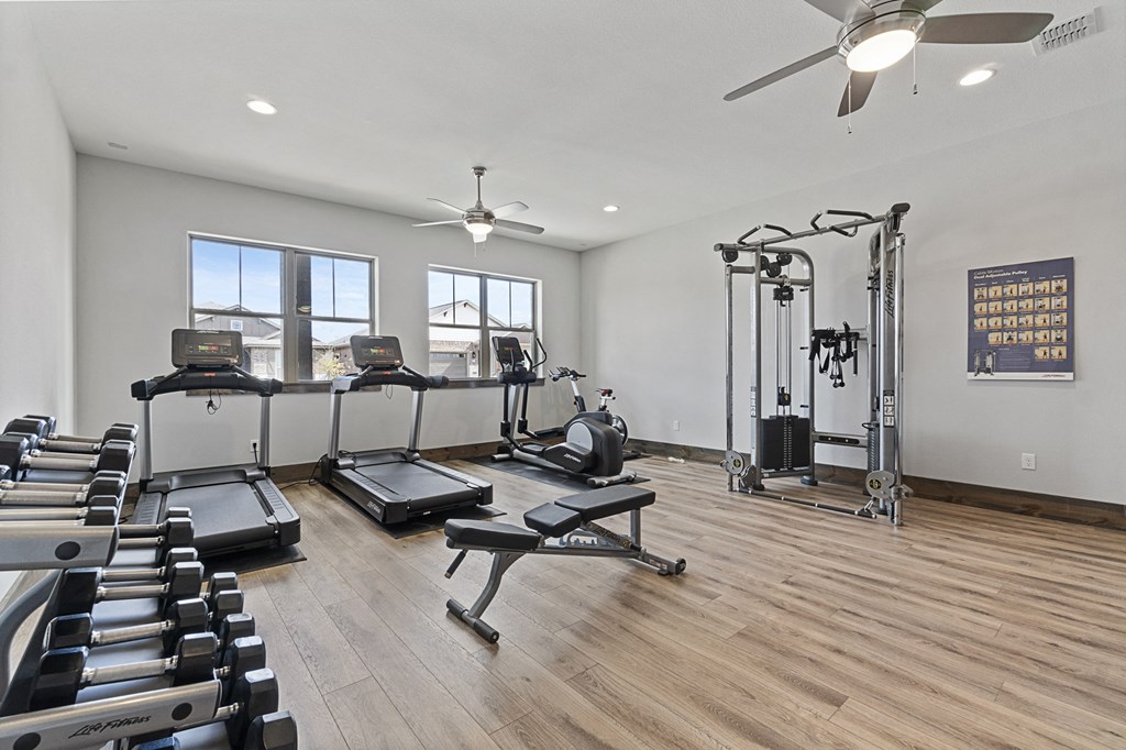 the gym has plenty of cardio equipment and treadmills