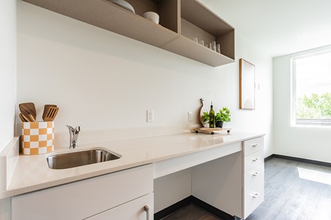 A kitchen with a sink and a window.