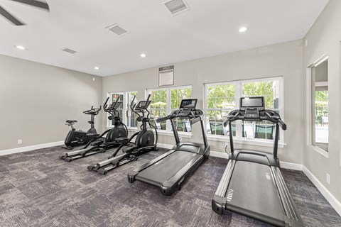 A spacious gym with treadmills and elliptical machines.