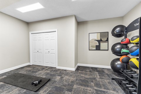 A room with a white door, a black mat on the floor, and a rack of exercise balls.