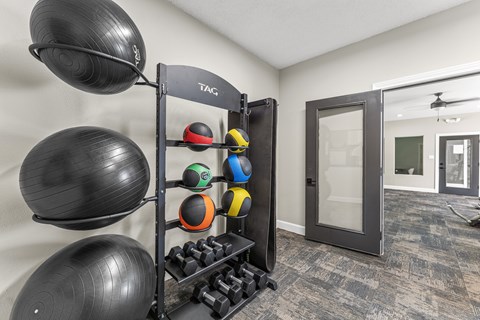 A black exercise ball is hanging on a rack in a room.