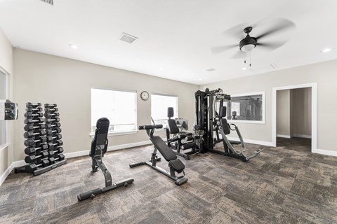 A spacious home gym with a variety of equipment including a weight rack, treadmill, and a bench press.