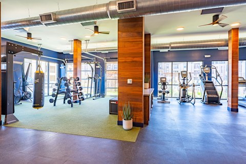 A gym with a variety of equipment including weights, a bench press, and a treadmill.
