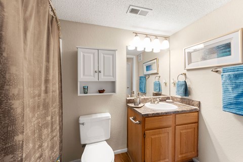 A bathroom with a toilet, sink, and mirror.