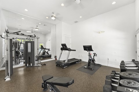Kissimmee, FL Townhomes for Rent - Estates at Lake Cecile – A well-equipped gym with a variety of exercise machines.