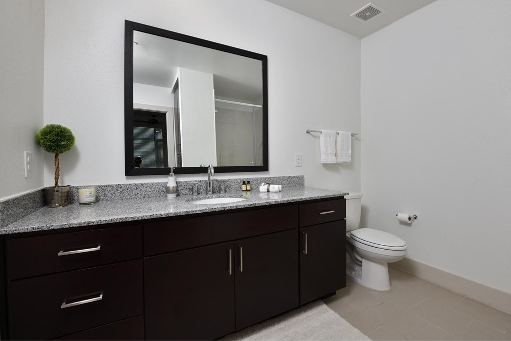 A bathroom with a white toilet and a large mirror above a sink with dark brown cabinets.