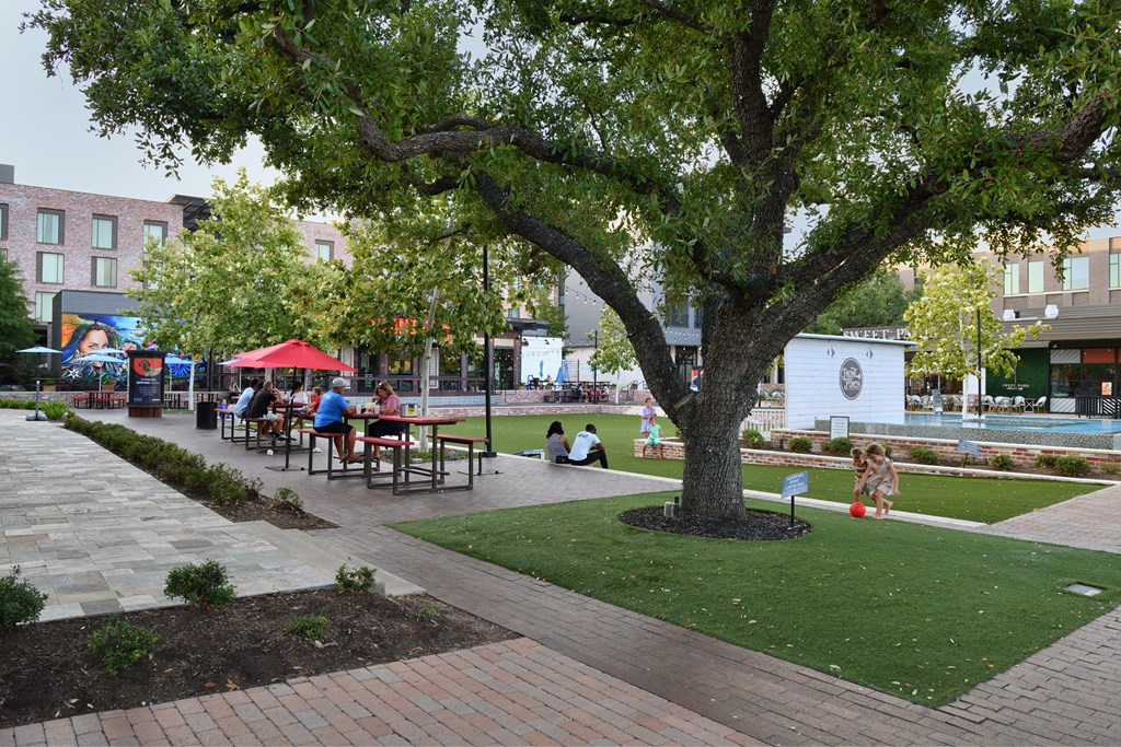 A park with people sitting at picnic tables under a large tree.