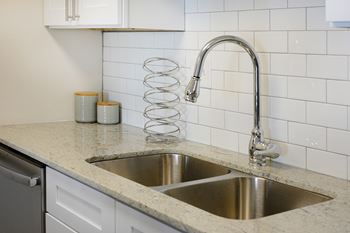 A kitchen sink with a chrome faucet and a spring on the counter.