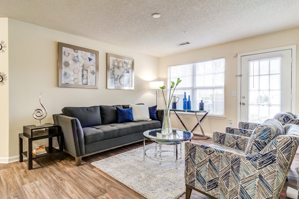 Ashford At Spring Lake Apartments, 6200 Bakers Ferry Rd, Atlanta, GA