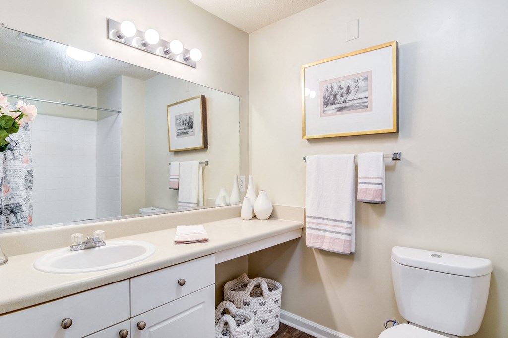 Ashford at Spring Lake apartments in Atlanta Georgia photo of bathroom with long vanity