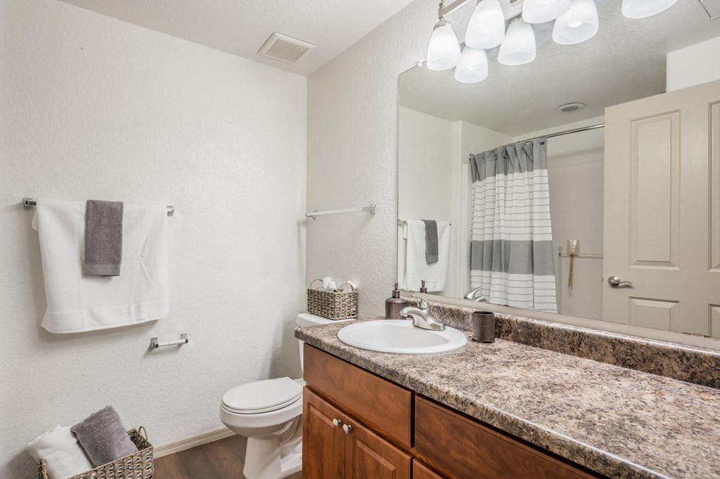 a bathroom with a sink and a toilet