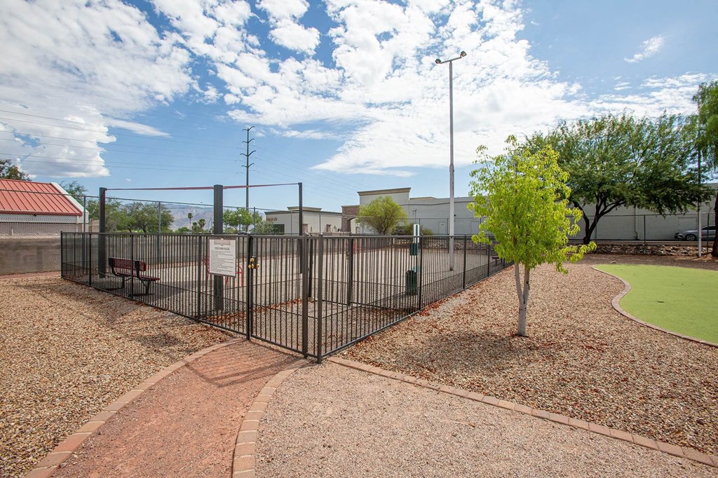 a fenced in area with a tennis court and a tree
