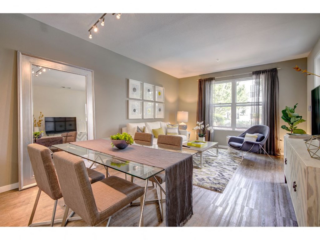 Living Room and dining area