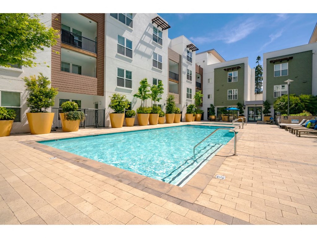 Sparkling Pool
