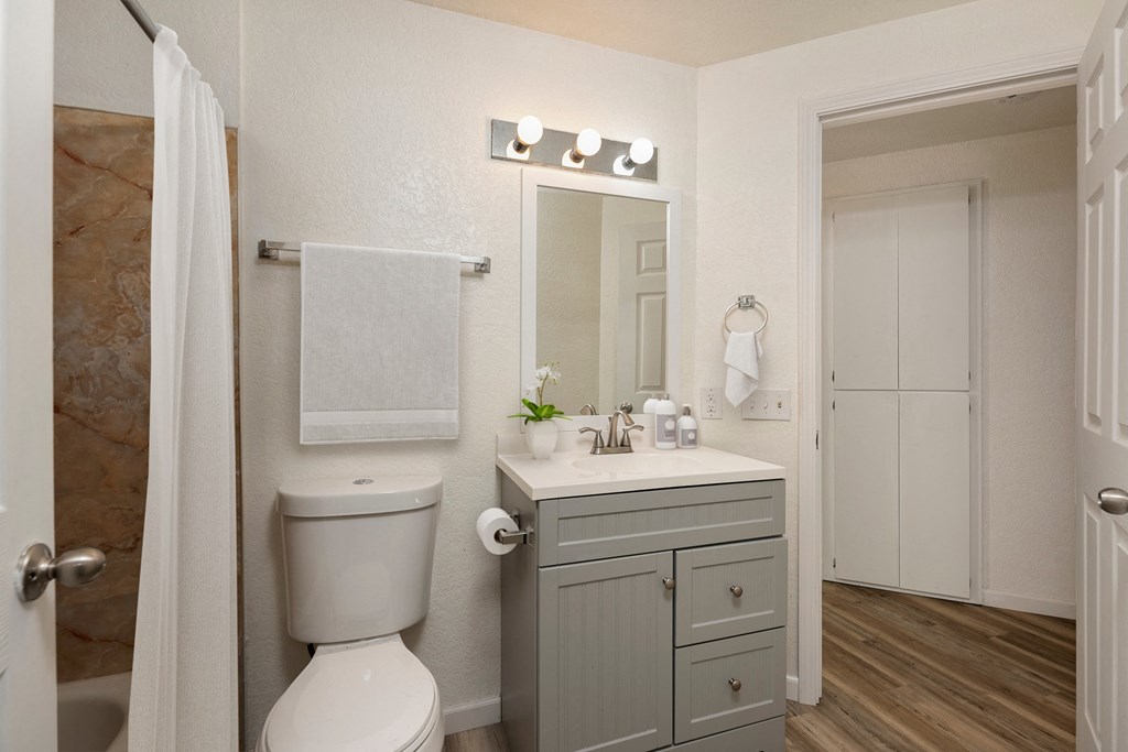 bathrooms with modern finishes