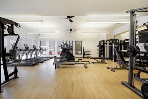A gym with a variety of equipment including treadmills, weights, and benches.