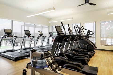 A row of treadmills and stationary bikes in a gym.