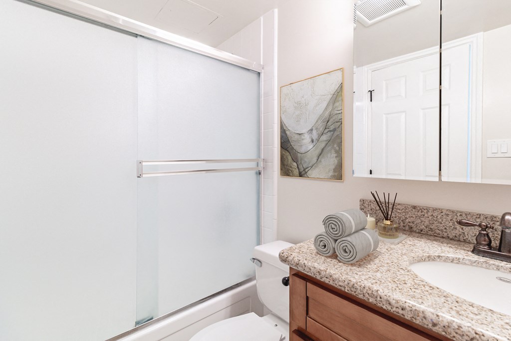 Los Gatos, CA, Apartments for Rent - El Gato Penthouse - Bathroom with a Sliding Frosted-Glass Shower Stall Door, Granite Countertop, Sink, Mirror, and Wooden Cabinetry.