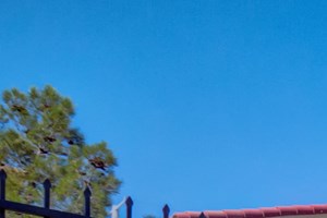 Two-Canine Agility Parks - Photo Gallery