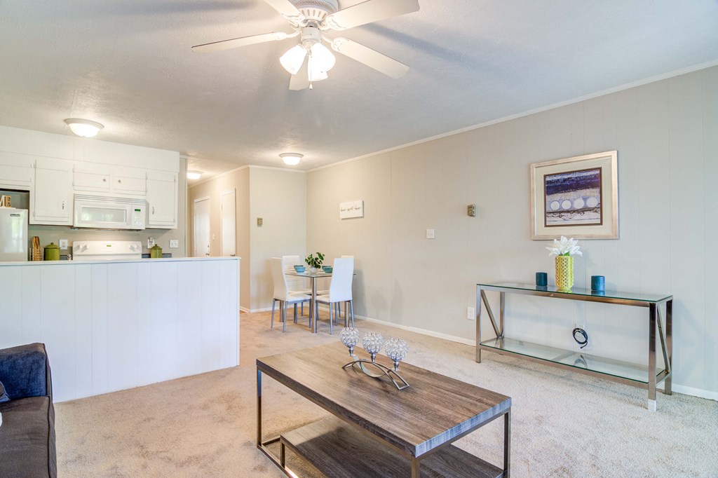 The Element at 3900 apartments in Macon Georgia photo of Spacious Living Room