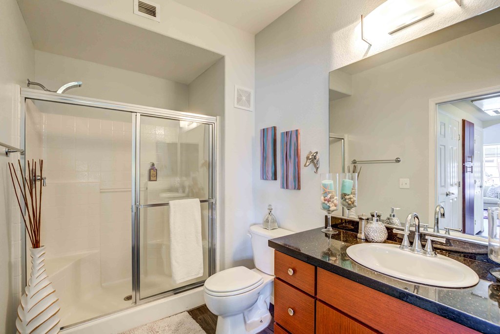 a bathroom with a shower toilet and sink and a mirror