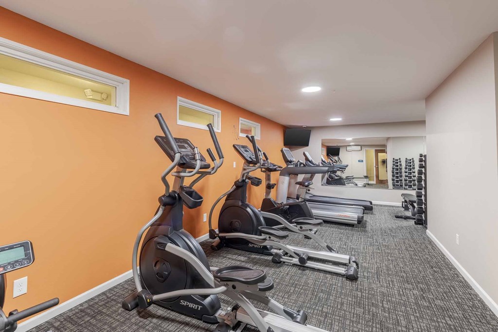 A gym with orange walls and a row of treadmills.