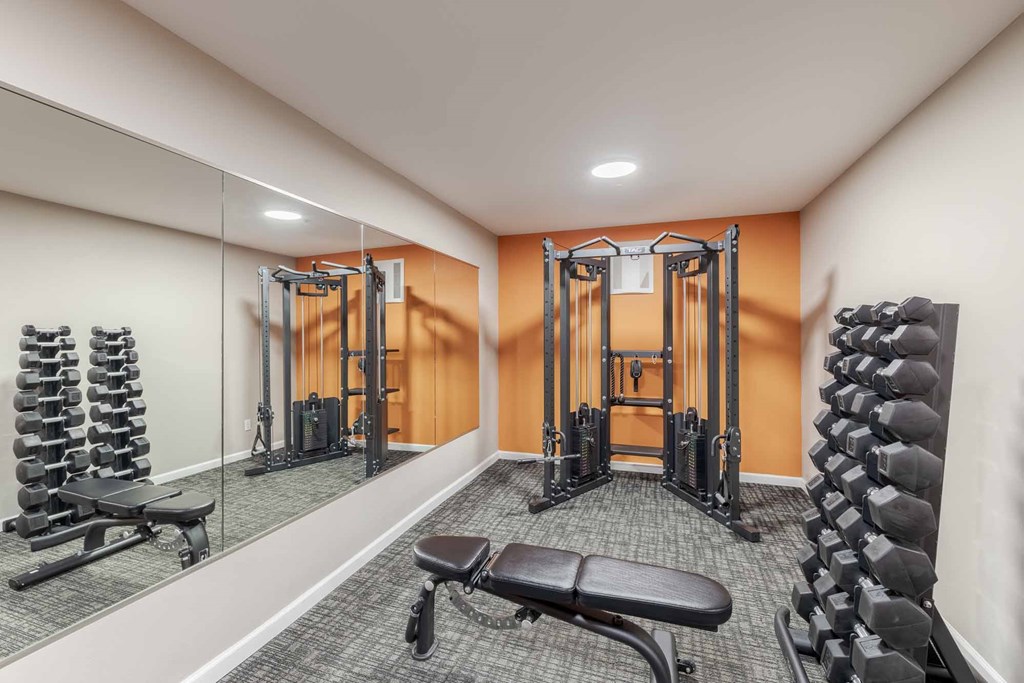 A gym with a variety of equipment including dumbbells, weight machines, and benches.