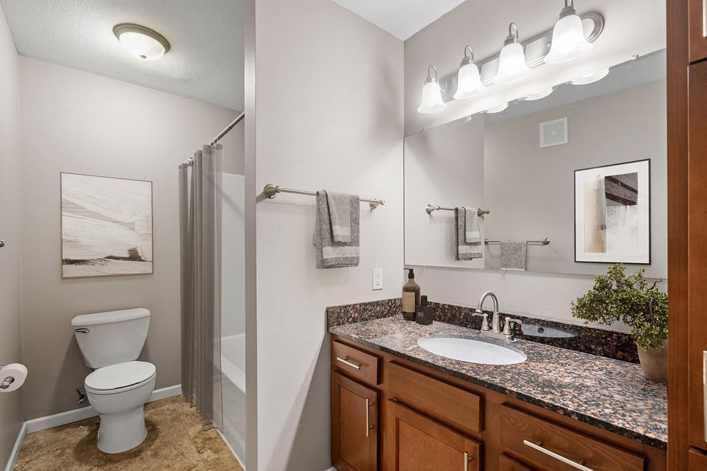 a bathroom with a shower toilet and sink and a mirror