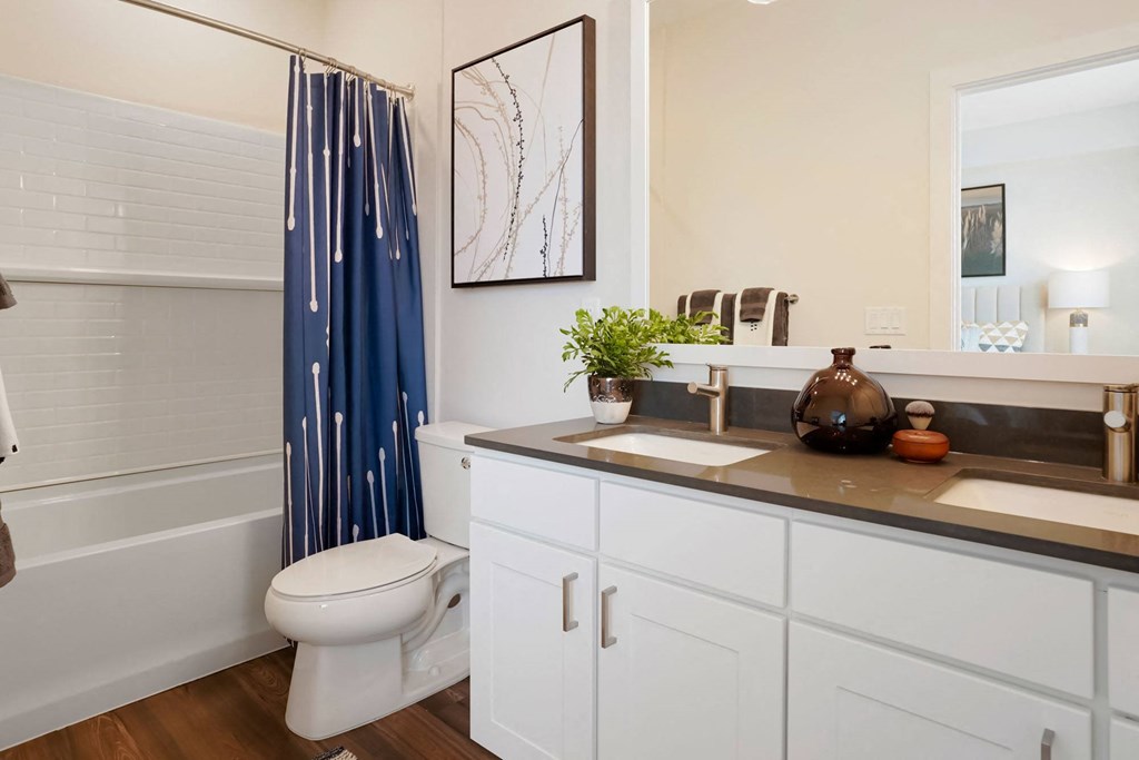 a bathroom with a sink and a toilet and a shower