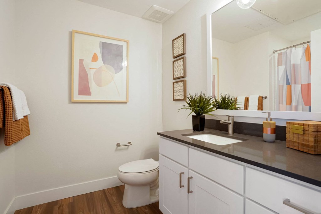 a bathroom with a sink and a toilet and a mirror