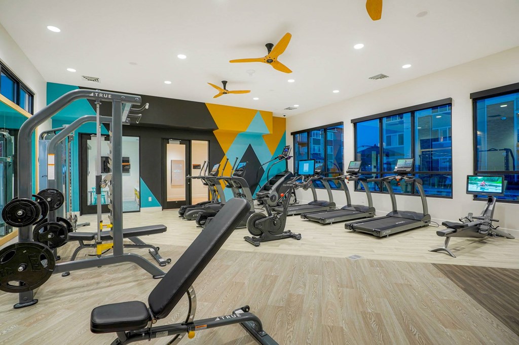 a gym with weights and cardio machines and a wall of windows