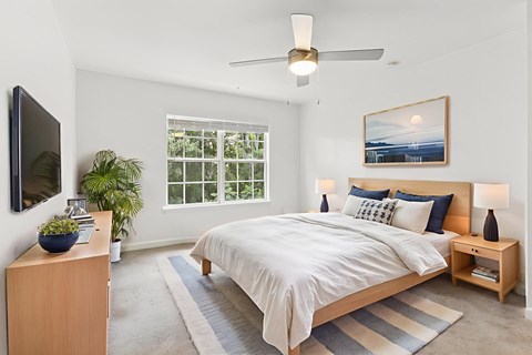 A bedroom with a large bed, a television, and a potted plant.