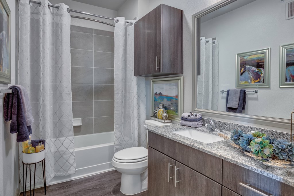 Pet Friendly Apartments in Georgetown Texas - Williamson at the Overlook - Full Bathroom with Shower, Tub, Toilet, Wood-Style Flooring, Grey Themed Cabinetry and Tile, Framed Mirror, and Granite Sink