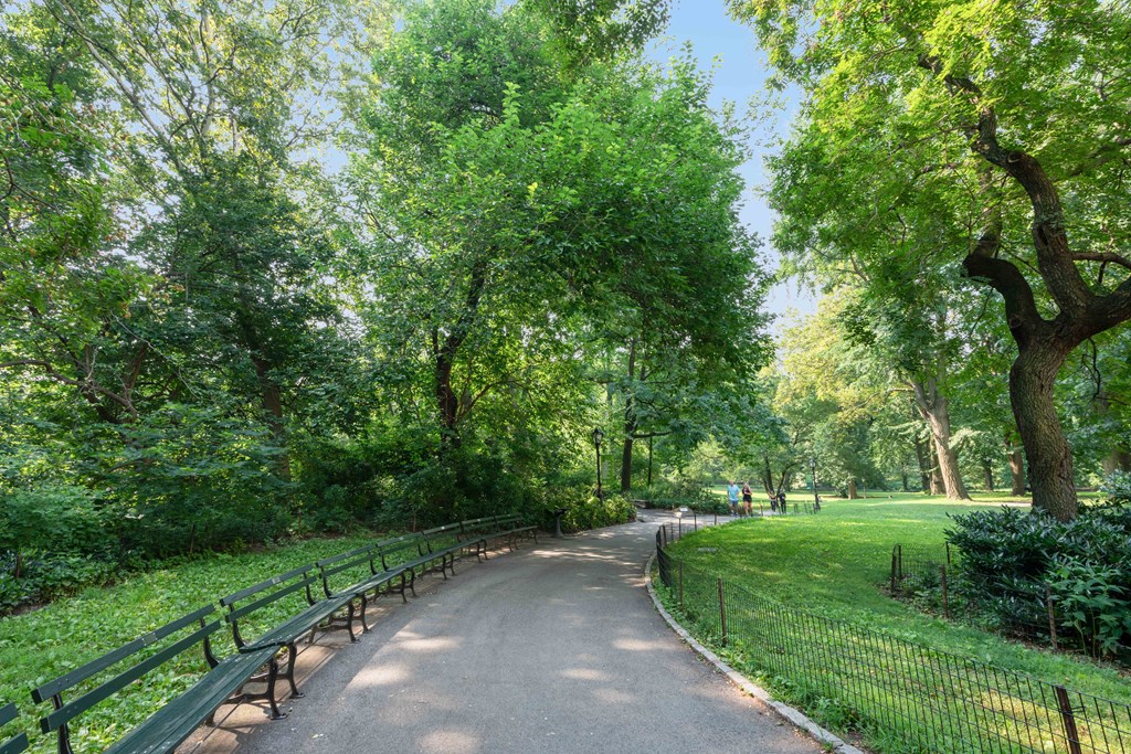 a path through a park with benches and trees