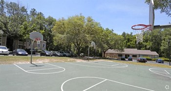 Basketball Court