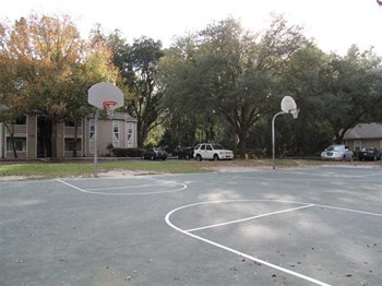 Basketball Court