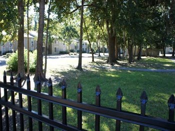 beautiful landscaping